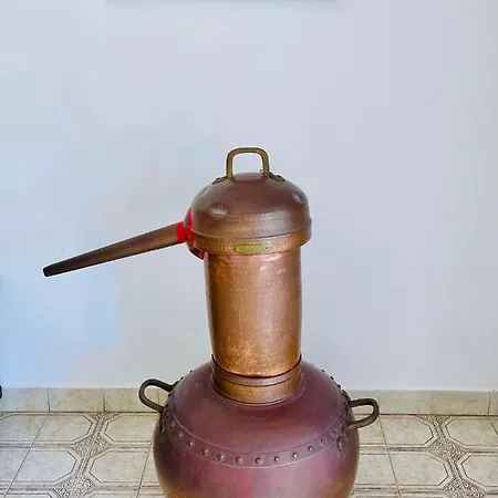 Casa Dos Trevos, 5 Bedroom With Pool וילה